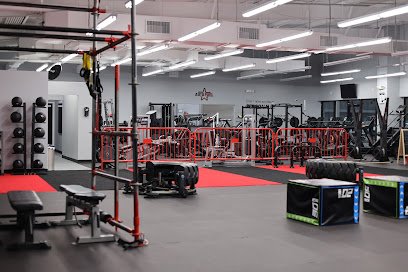 AUTOMATIC FITNESS LLC