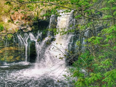 Lovern Fitness & Physio