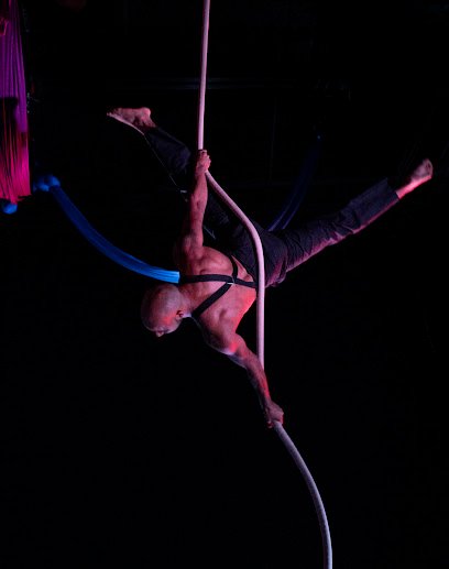 Celeste Aerial Arts
