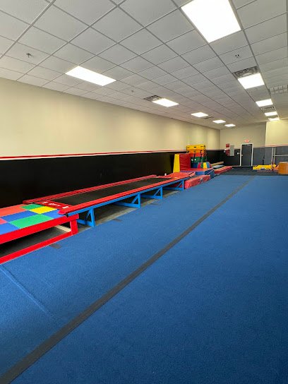 The Tumble Gym